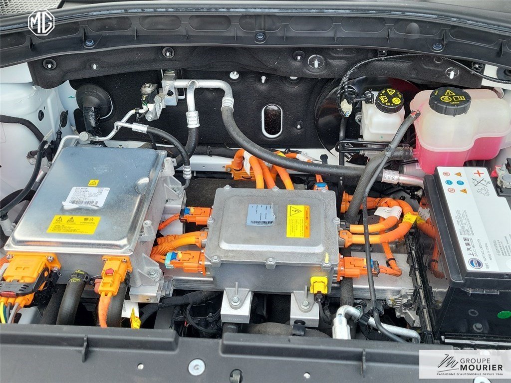 mg - Visuel 29