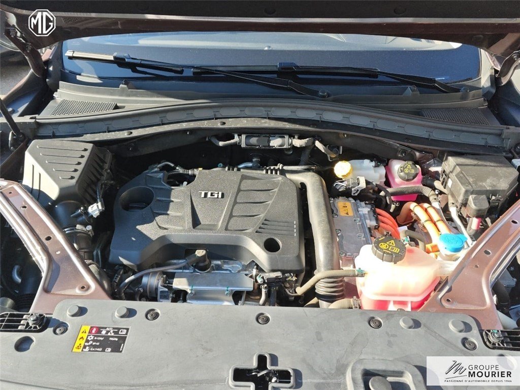 mg - Visuel 22